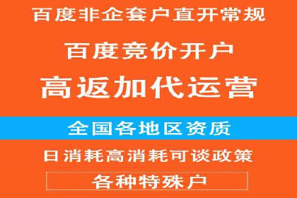 行业领先企业的SEM服务托管策略案例